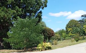 Le Manoir Sequoia